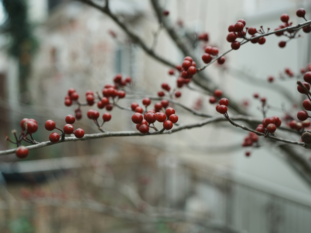 残り少なくなってきた