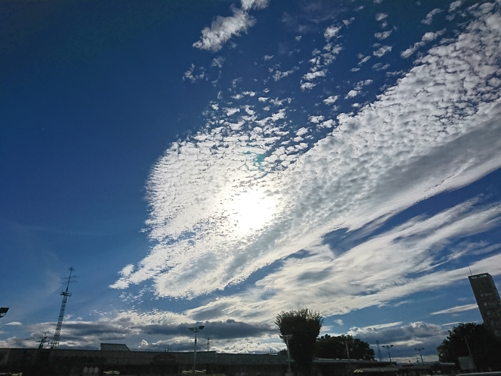 空 (5)