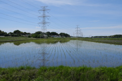 田植えの季節（１）