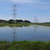 田植えの季節（１）