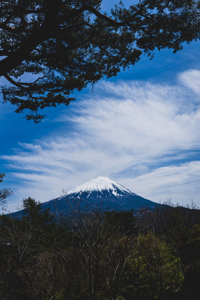 紅葉台