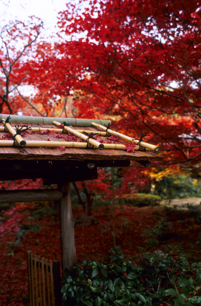 京都にて