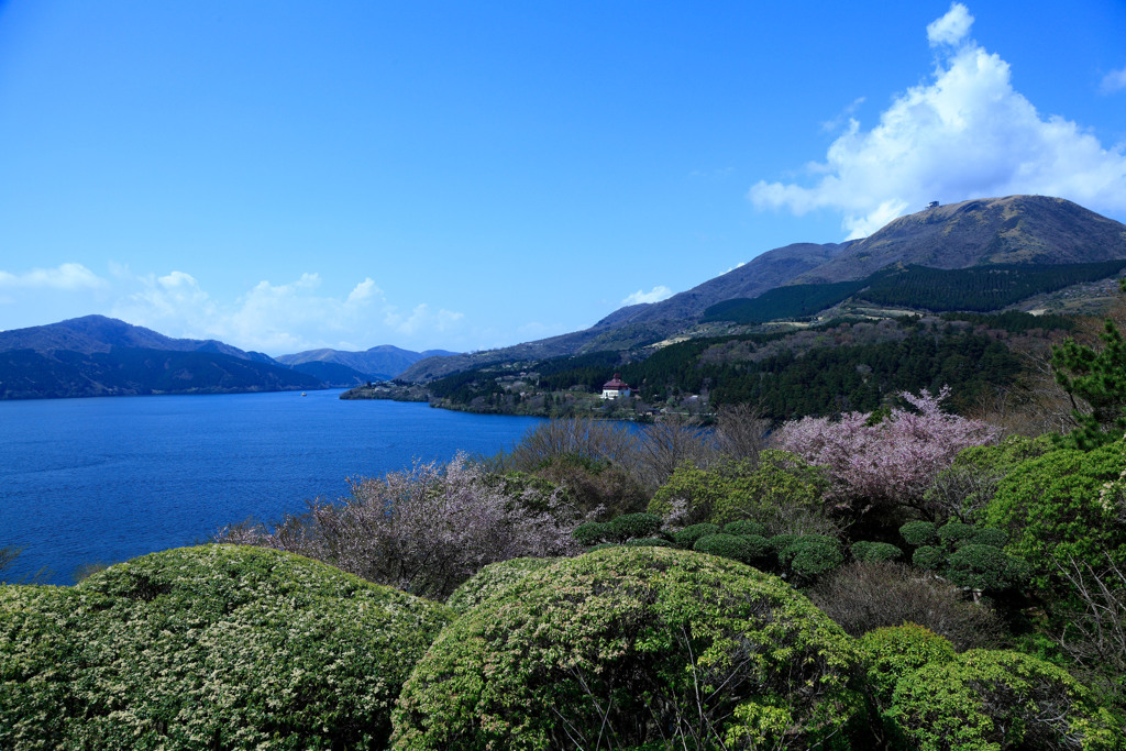 箱根にて