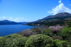 箱根にて