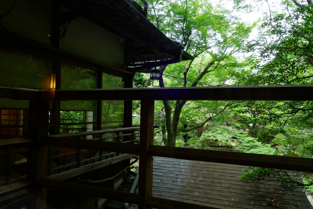 箱根にて