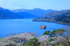 箱根にて