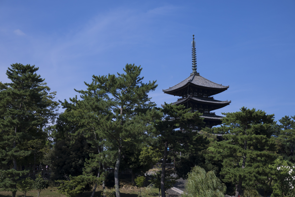 興福寺にて