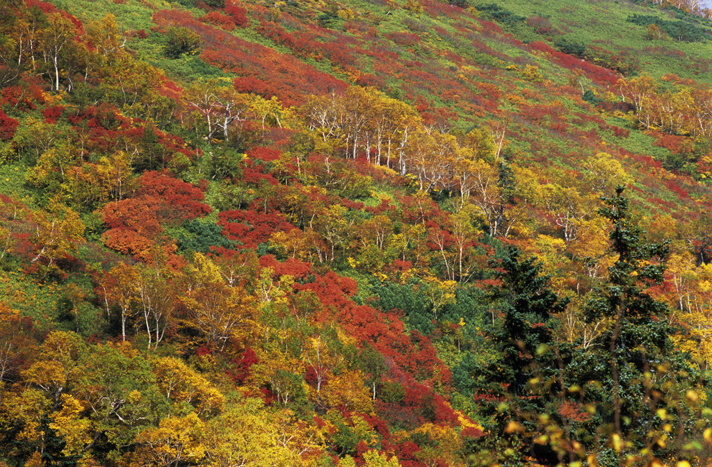 北海道にて