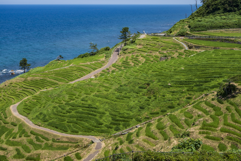 能登半島にて
