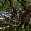 金沢にて