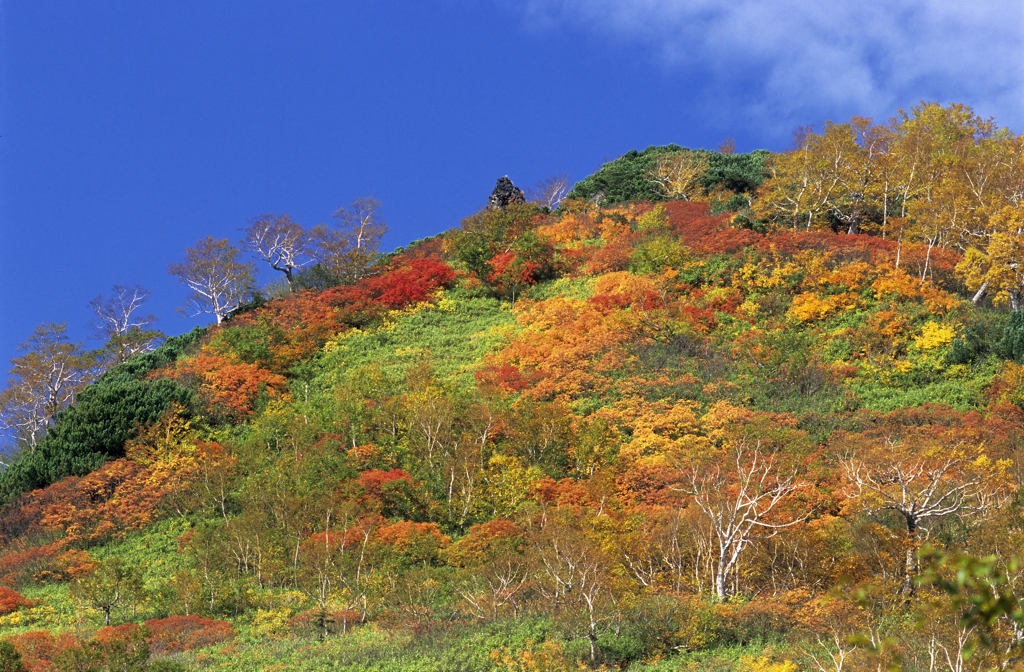 北海道にて