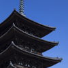 興福寺にて