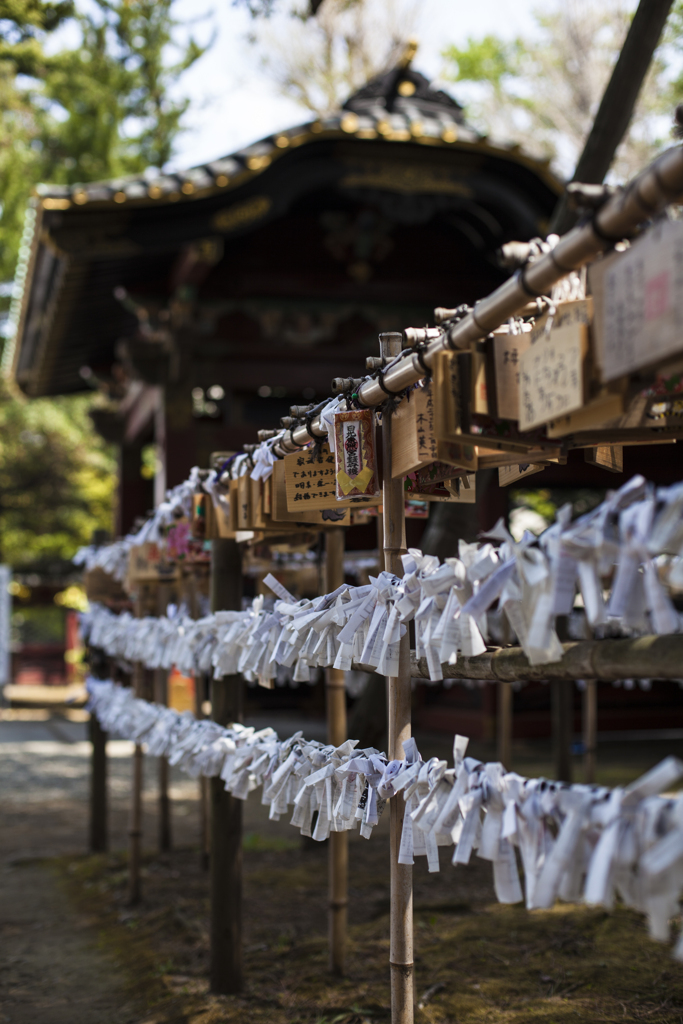 根津神社にて
