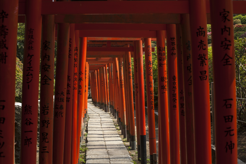 根津神社にて