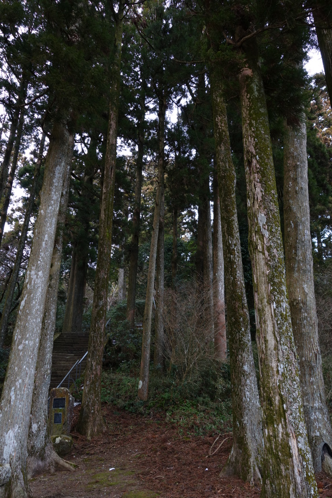 箱根にて