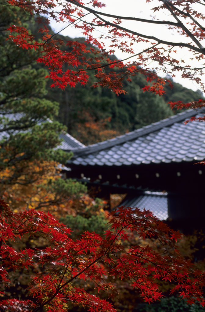 京都にて