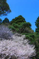 箱根にて