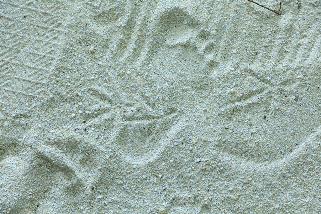 モルディブにて