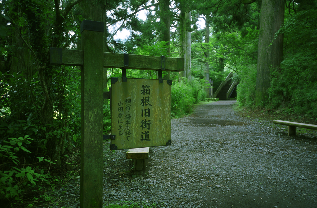 箱根にて