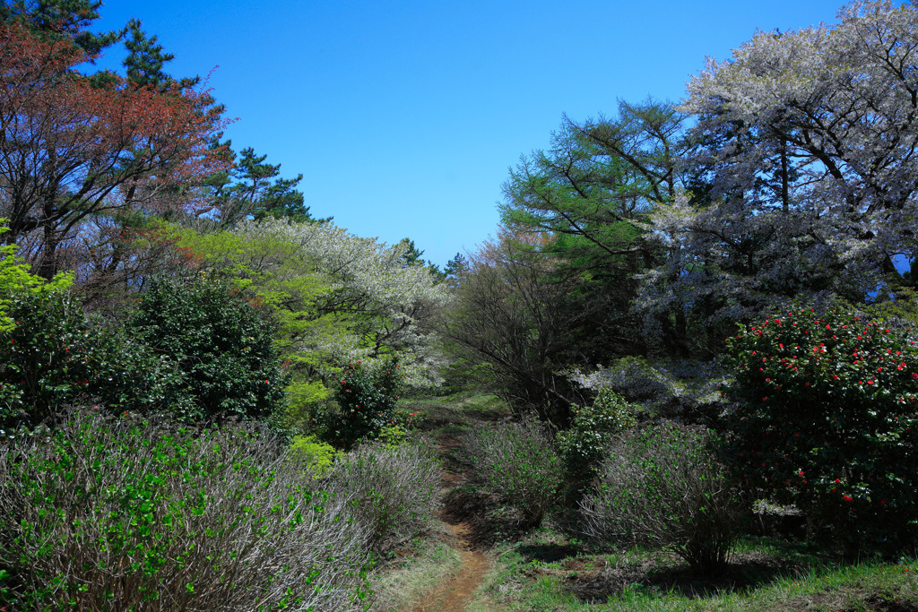 箱根にて