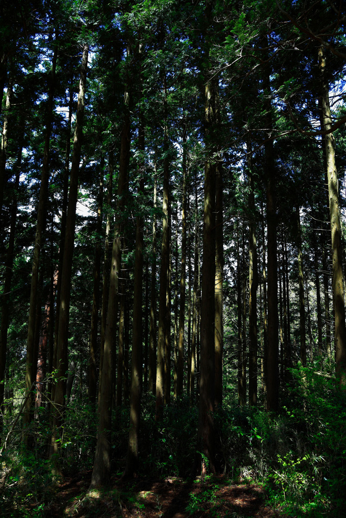 箱根にて