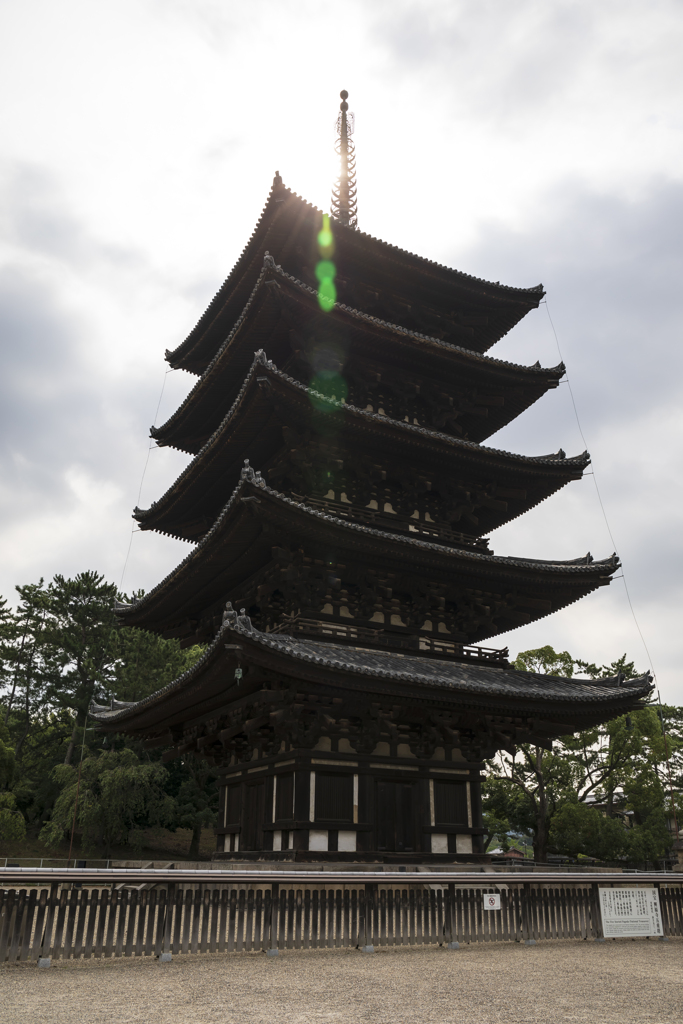 興福寺にて