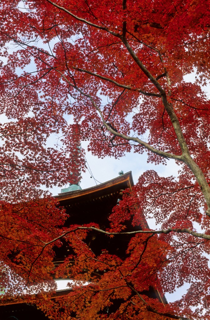 京都にて