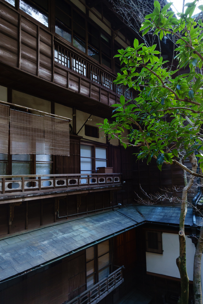 箱根にて