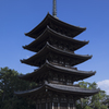興福寺にて