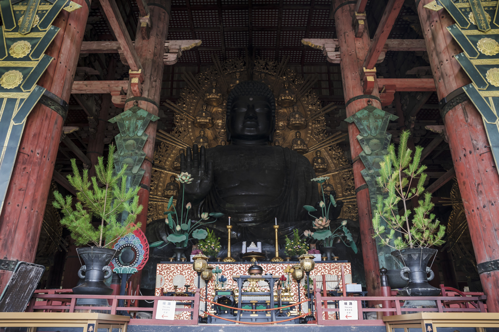 東大寺にて