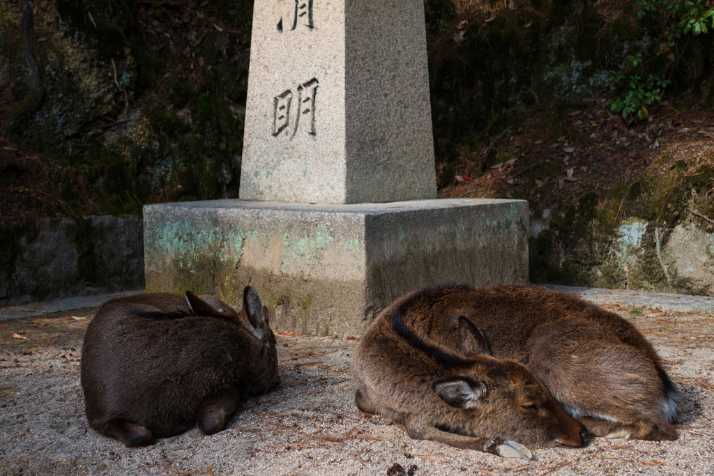 厳島神社にて