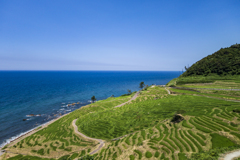 能登半島にて