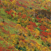 北海道にて