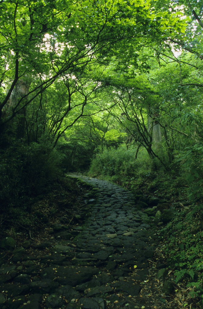 箱根にて