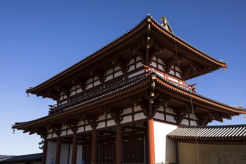 平城宮跡にて