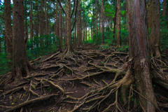 箱根にて