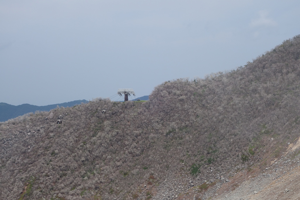 箱根にて
