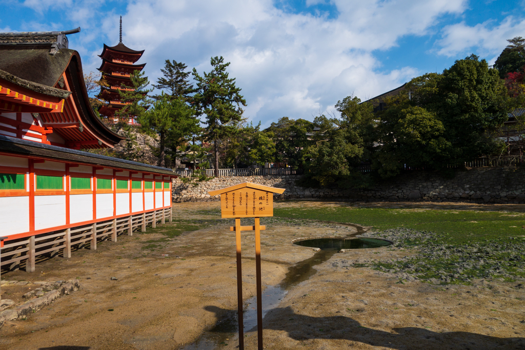 厳島神社にて