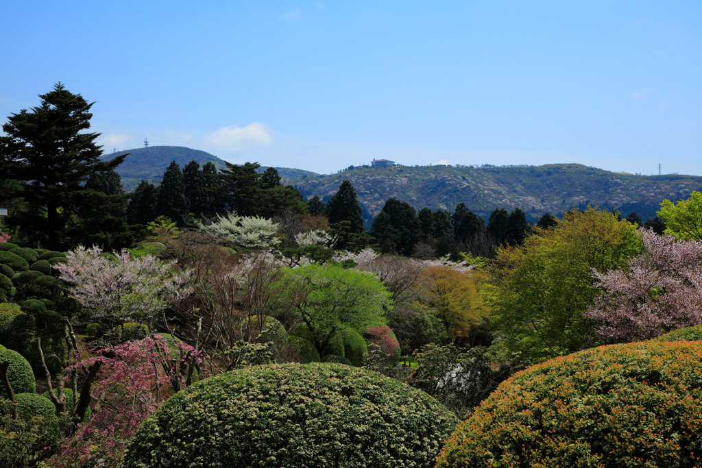 箱根にて