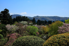 箱根にて