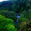 箱根にて
