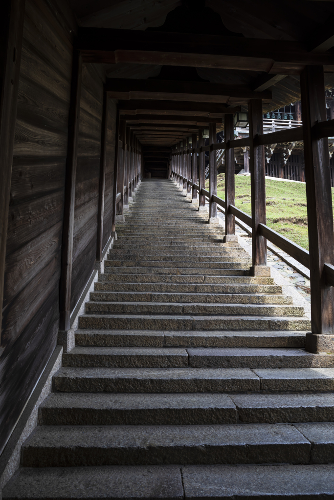 東大寺にて