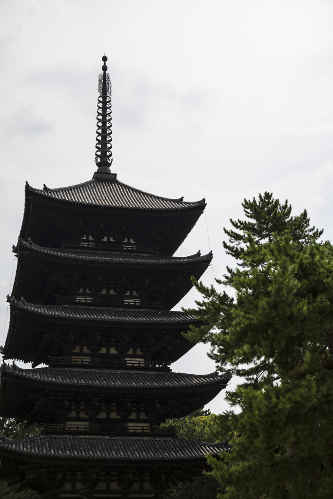 興福寺にて