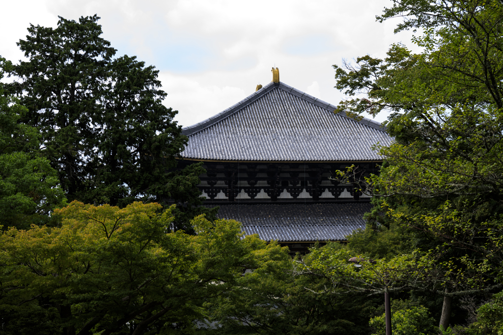 東大寺にて