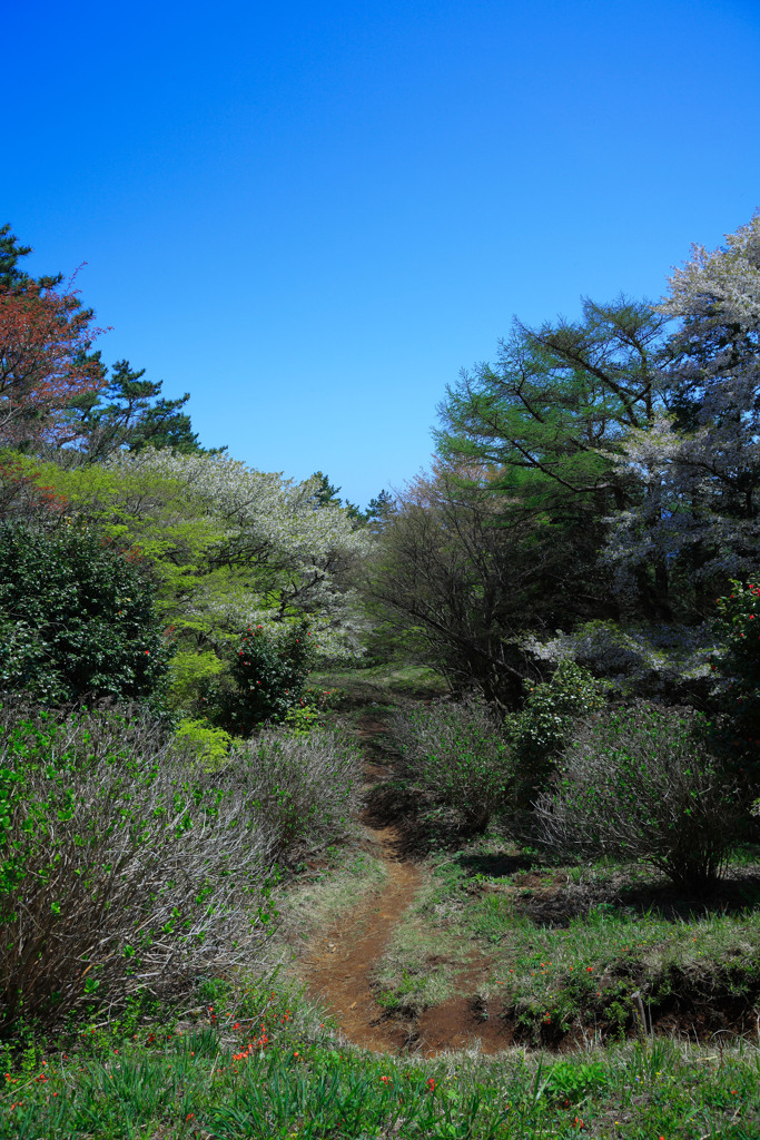 箱根にて