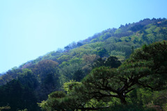 箱根にて