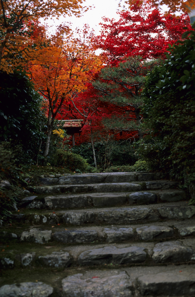 京都にて