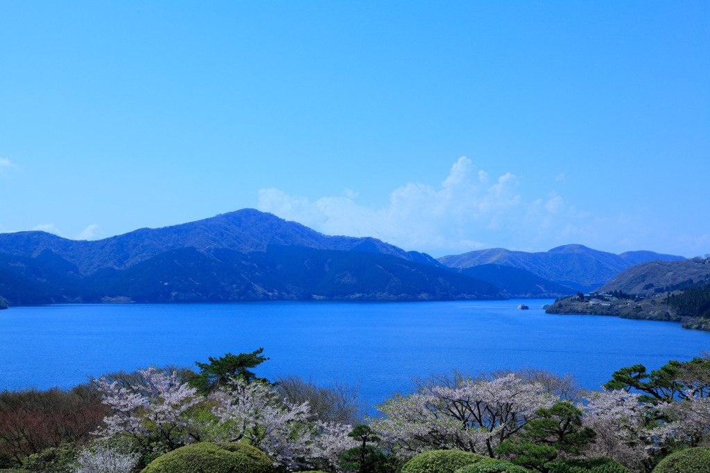 箱根にて