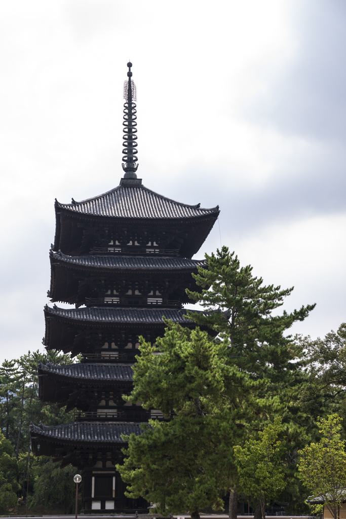興福寺にて