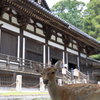 東大寺にて